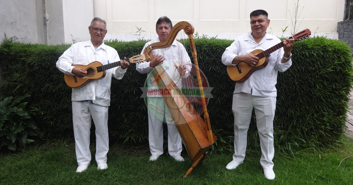 Grupos Jarochos en Atizapán