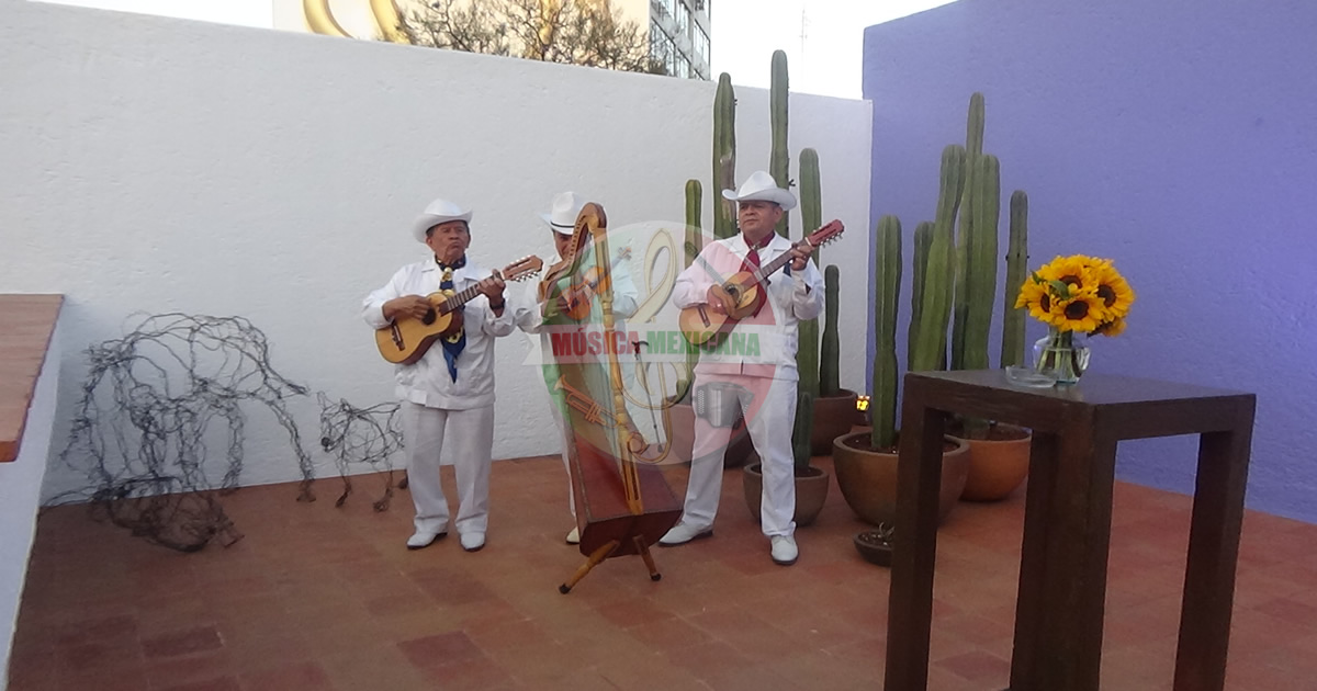 Grupos Jarochos en Granjas Navidad