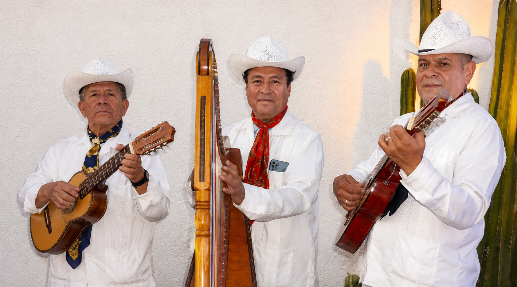 Grupos Jarochos en Cuautepec