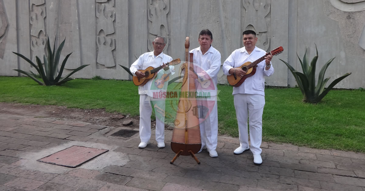 Grupos Jarochos en Guadalupe Inn