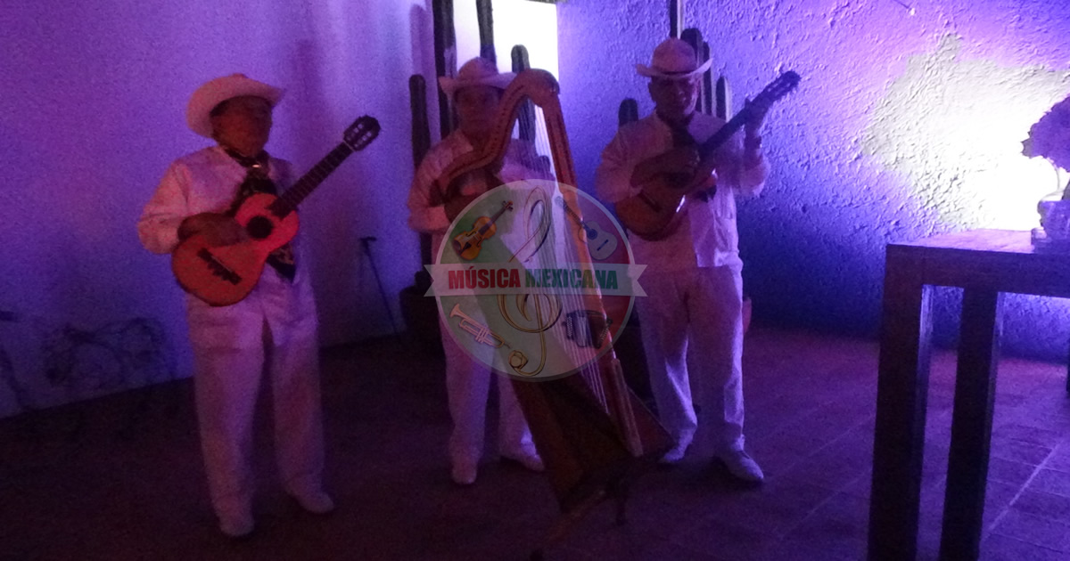 Grupos Jarochos en La Villa