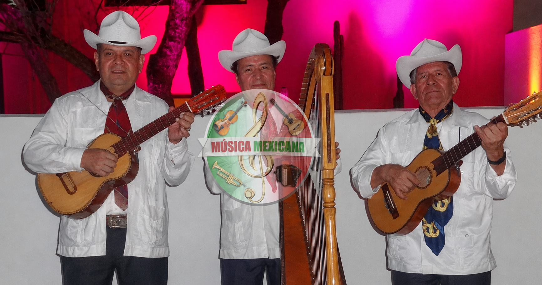 Grupos Jarochos en Lindavista