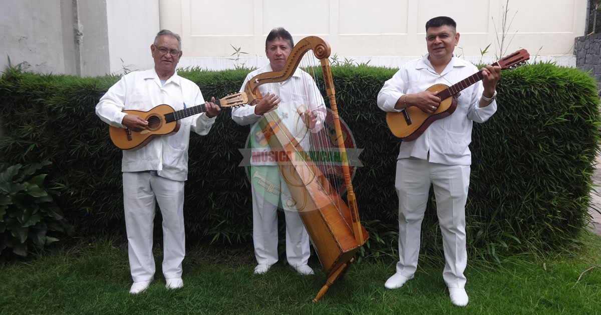 Grupos Jarochos en Martín Carrera