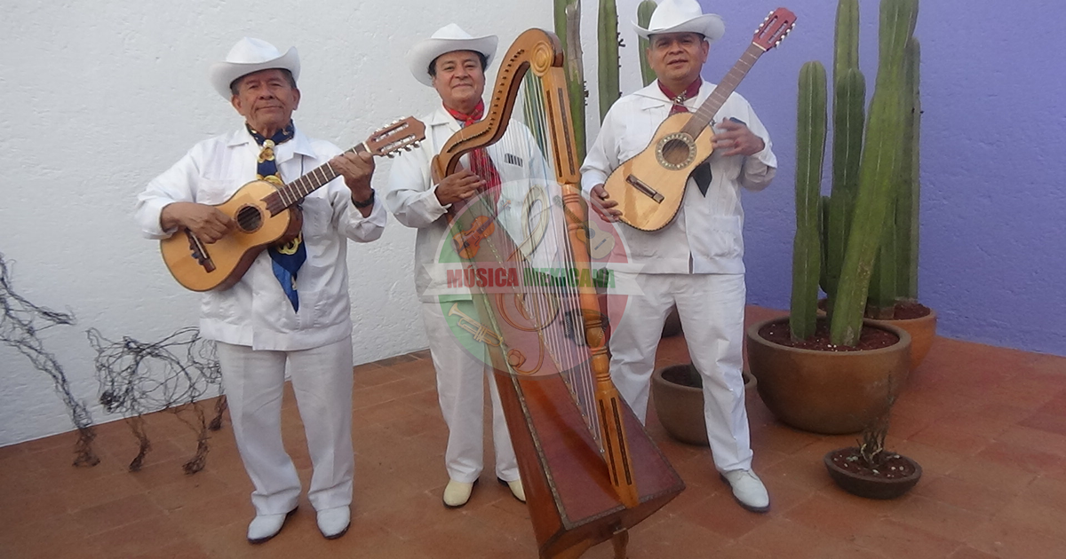 Grupos Jarochos en Naucalpan