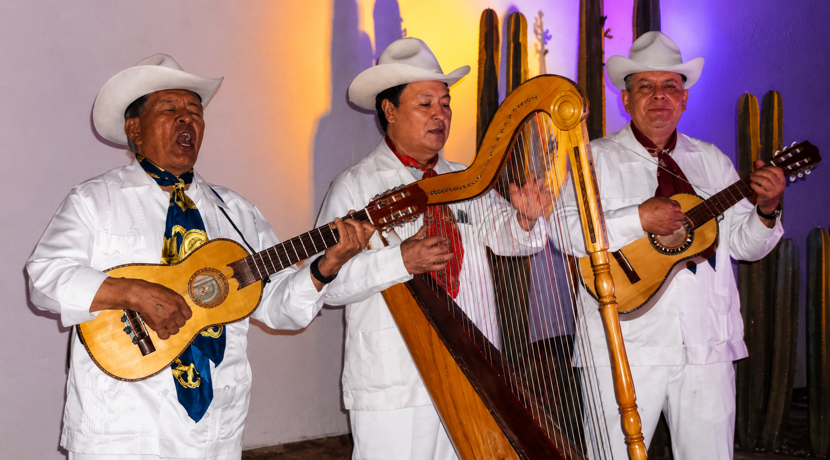 Grupos Jarochos en Nueva Atzacoalco