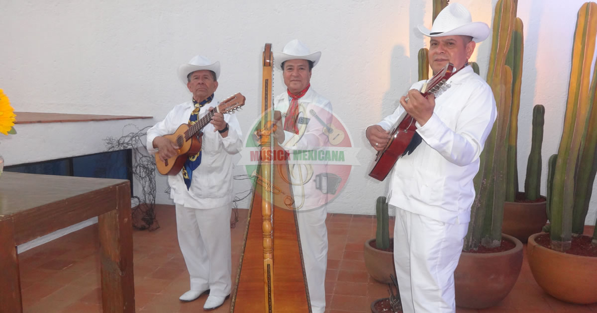 Grupos Jarochos en Olivar del Conde