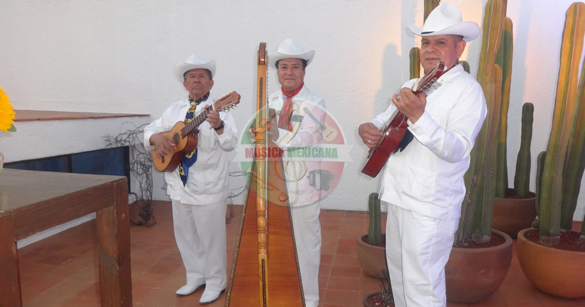 Grupos Jarochos en Parques de la Herradura