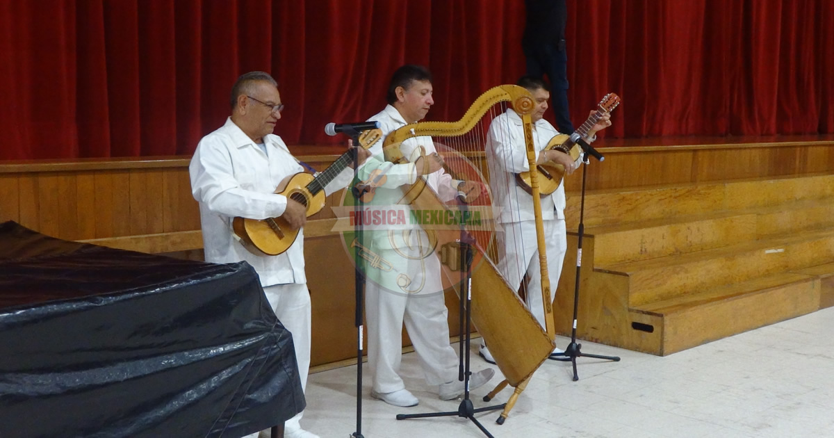 Grupos Jarochos en Romero de Terreros