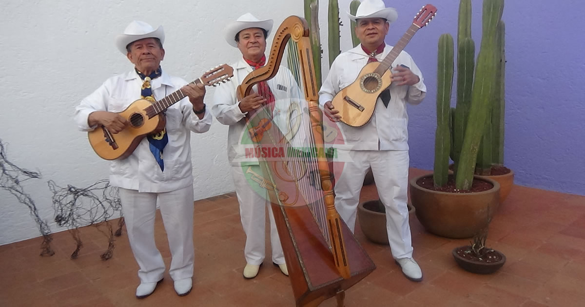 Grupos Jarochos en San Angel
