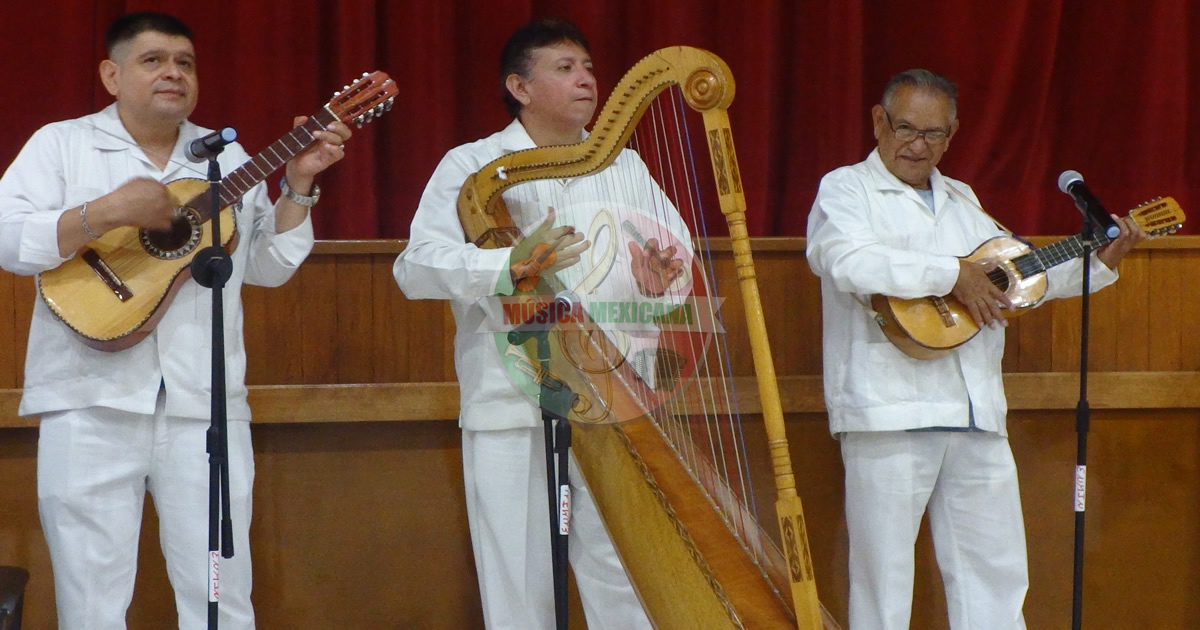 Grupos Jarochos en San Pedro Barrientos