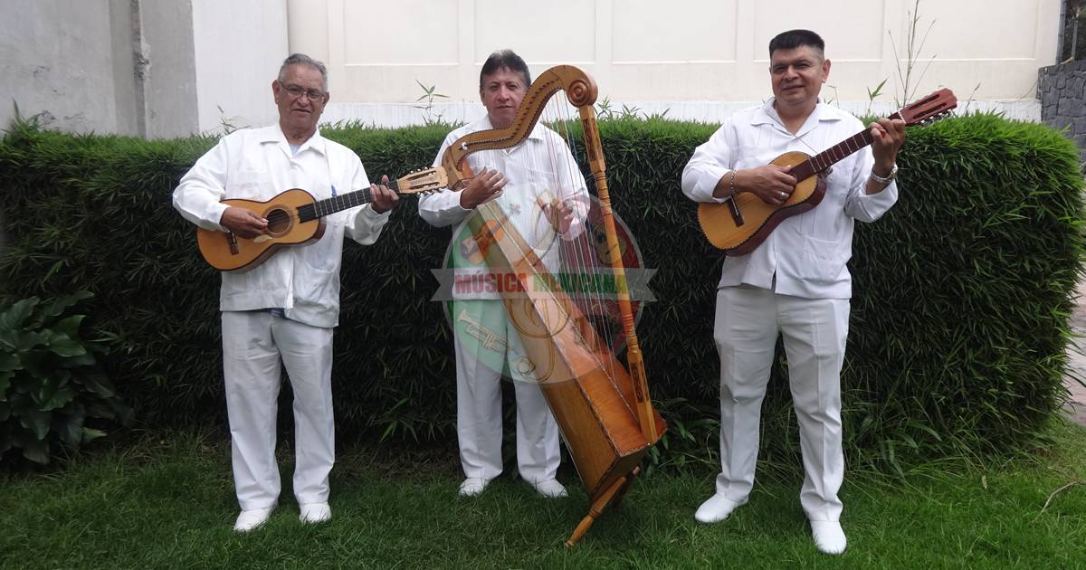 Grupos Jarochos en Santa Crúz Aviacion