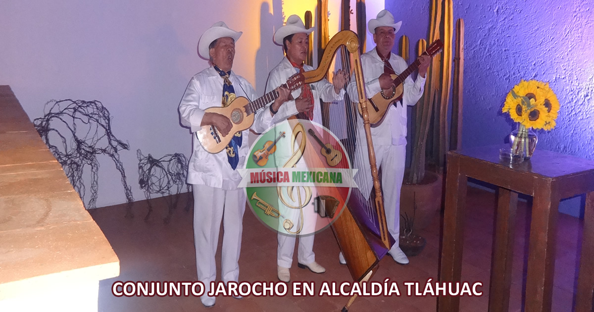 Grupos Jarochos en Tláhuac