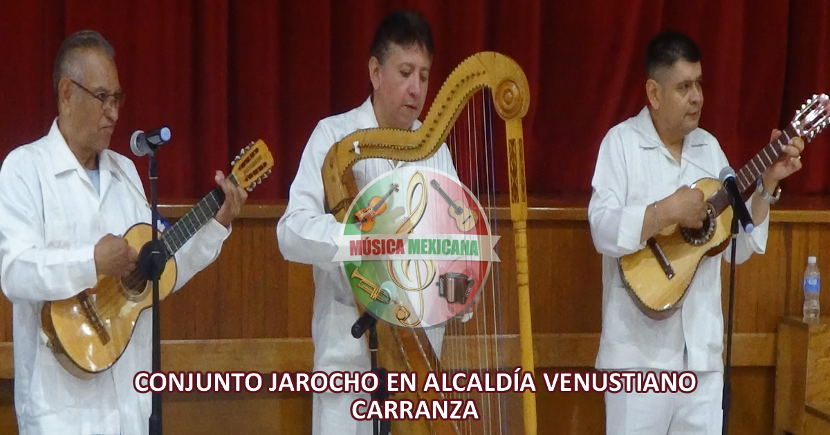 Grupos Jarochos en Venustiano Carranza