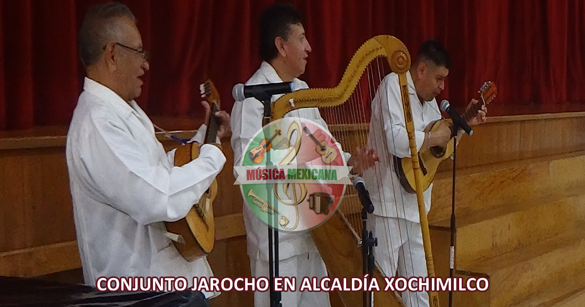 Grupos Jarochos en Xochimilco