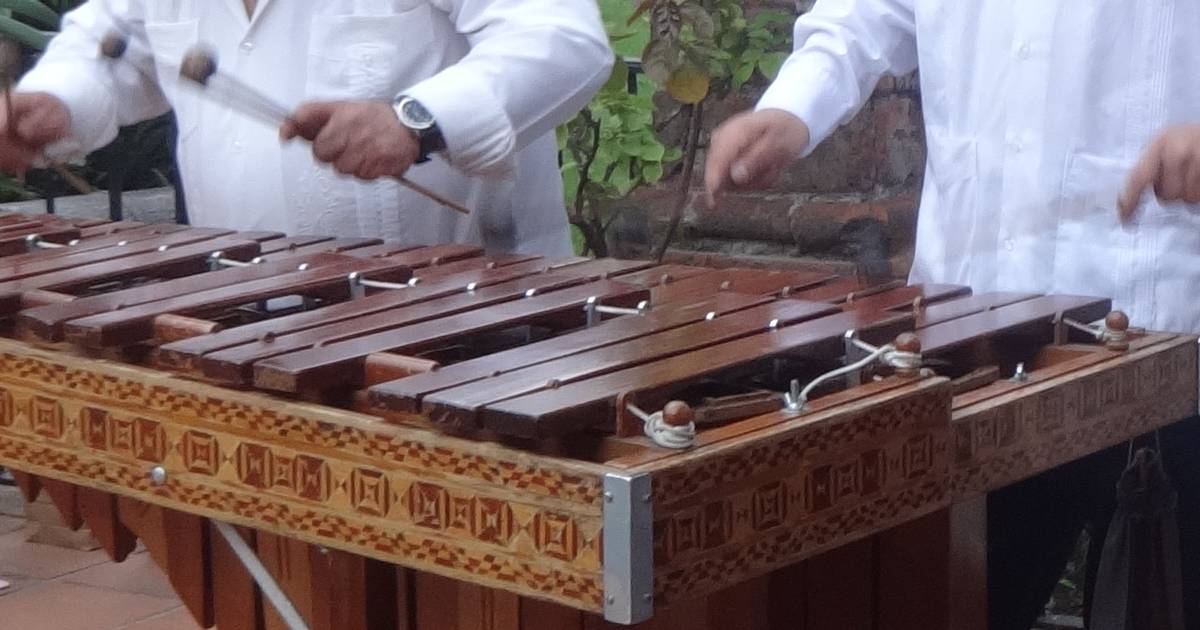 Marimba en Coapa Tlalpan