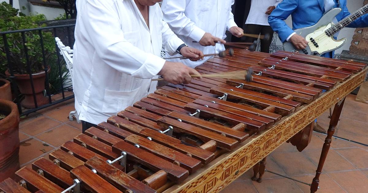 Marimba en Villa Coapa Tlalpan