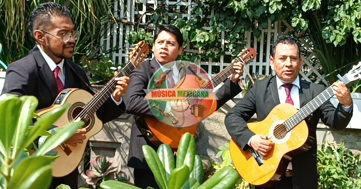 tríos musicales en la Colonia Colinas de San Mateo Naucalpan